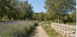 Quiet path in nature